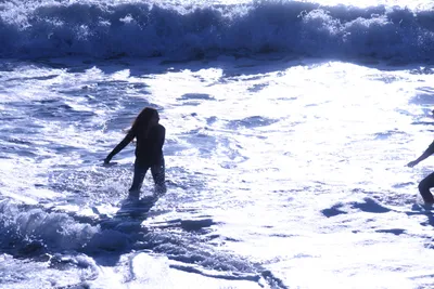 DSC_0487 (Large).JPG